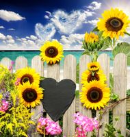 FOTOTAPETA KWIATY WIDOKI SŁONECZNIKI MORZE OCEAN