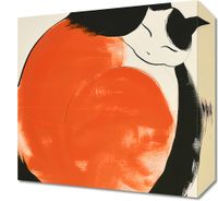 Obraz 30x30cm Yin i Yang Kotów