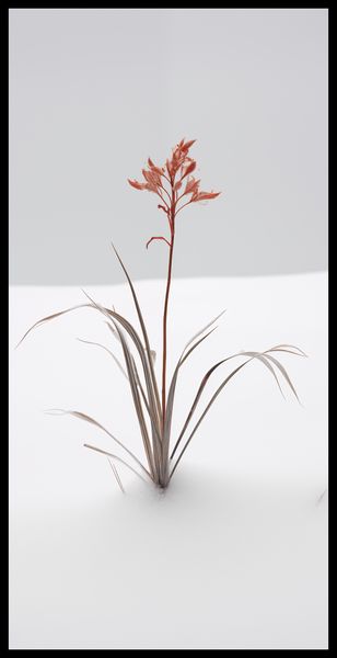 Plakat 50x100cm Subtelność Natury zdjęcie 2