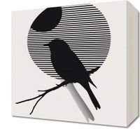 Obraz 30x30cm Kontrast Smukłości