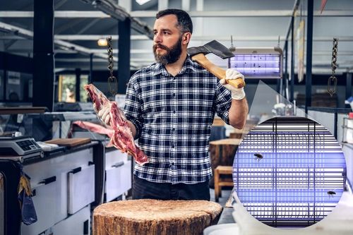 LAMPA OWADOBÓJCZA UV ŚCIENNA NO PEST NA KOMARY MUCHY ĆMY MOLE OWADY na Arena.pl