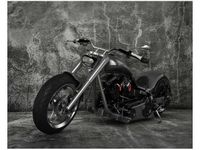 40X50CM CHOPPER OBRAZ