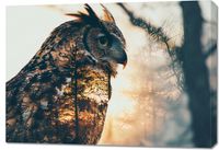 Obraz 100x70cm Sowi Duch