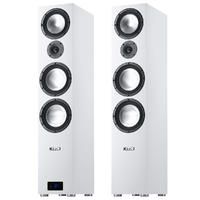 CANTON GLE 496.2 BT BIAŁY na Arena.pl