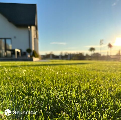 GRUNMAX - Green expert wiosenny nawóz do trawy, trawnika , PREMIUM 20kg na Arena.pl