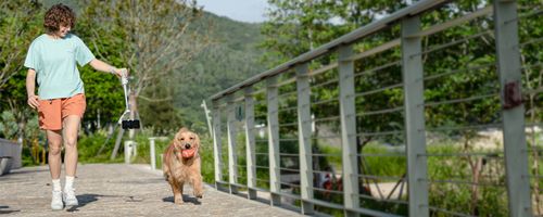 Gimbal ręczny FeiyuTech Vimble 4 do smartfonów na Arena.pl