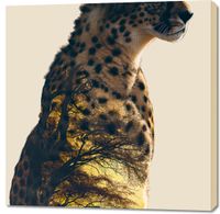 Obraz 100x100cm Gepard Duch Sawanny