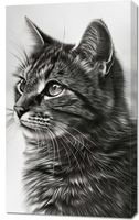 Obraz 60x100cm Kocie Wpatrzenie