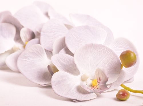 STORCZYK POJEDYNCZY szary na Arena.pl