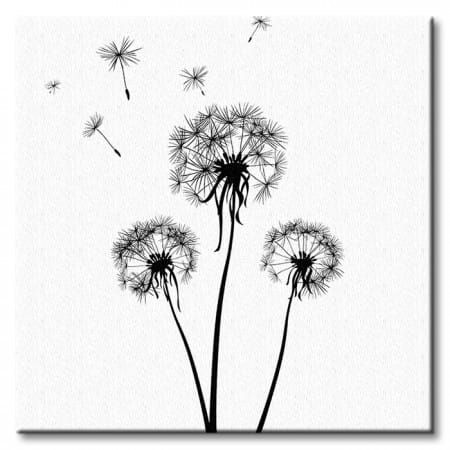 Dmuchawce - Obraz na płótnie 40x40 cm na Arena.pl