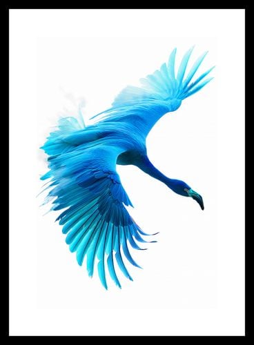 Plakat 20x30cm Błękitny Lot na Arena.pl