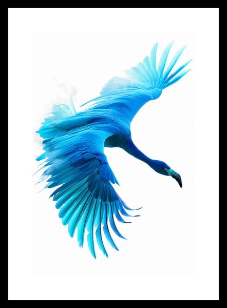 Plakat 20x30cm Błękitny Lot zdjęcie 3