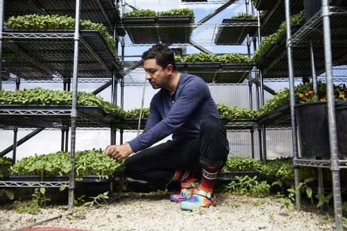 Klapki Chodaki Crocs Do Pracy Bistro Clog 37/38 na Arena.pl