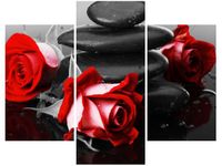 OBRAZ RÓŻE TLE KAMIENI AKCENT KOLORYSTYCZNY