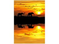 50X70CM AFRYKA OBRAZ PION ŚCIAN