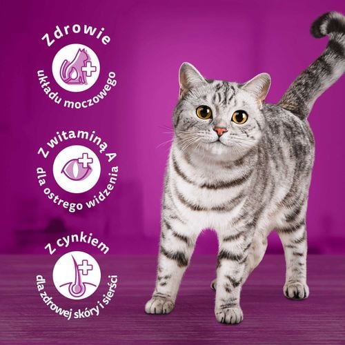 whiskas sucha kurczak 14kg na Arena.pl