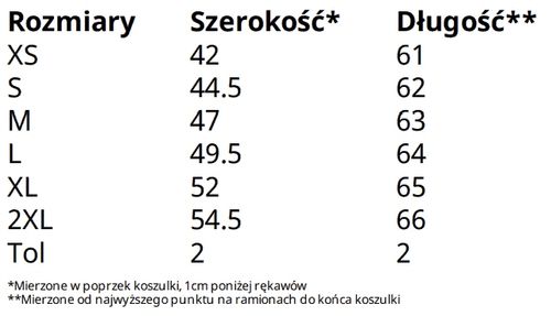 Koszulka Polo Premium Fruit of the Loom Błękit XXL na Arena.pl