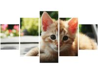 80CM 150CM OBRAZ 5 ELEM RUDY KOT MATHIAS ERHART ŚCIENNY