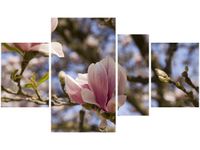 120CM 70 OBRAZ 4 ELEM KWITNĄCE MAGNOLIE ŚCIENNY