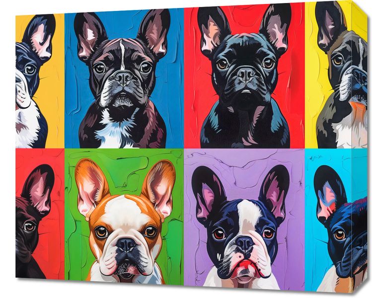 Obraz 60x50cm Buldogi Francuskie zdjęcie 1