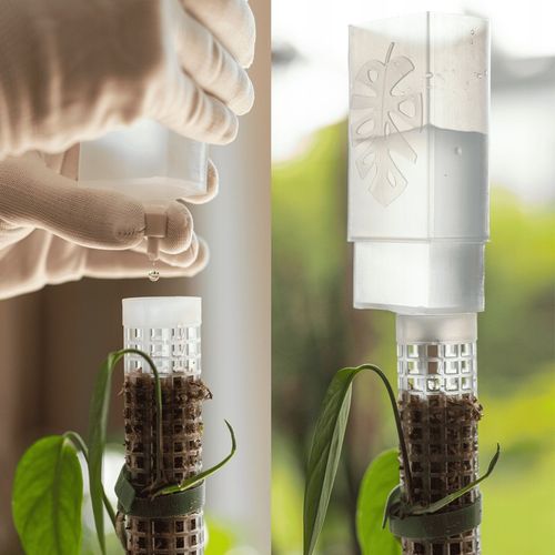 Podpora do roślin pnączy do mchu Sphagnum Palik Tyczka Do Epipremnum na Arena.pl