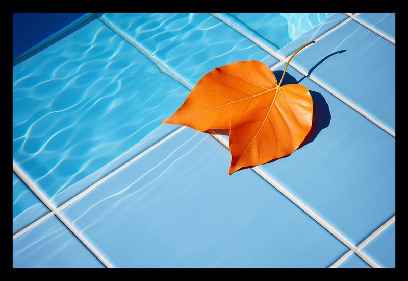 Plakat 30x20cm Liść przy Wodzie zdjęcie 2