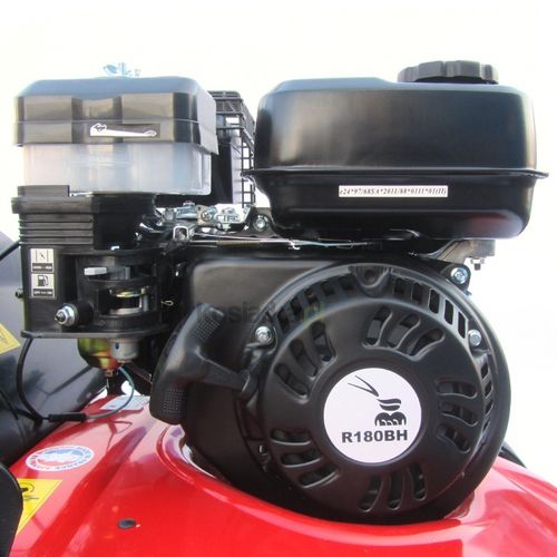 Pubert Cesar 45P na Arena.pl