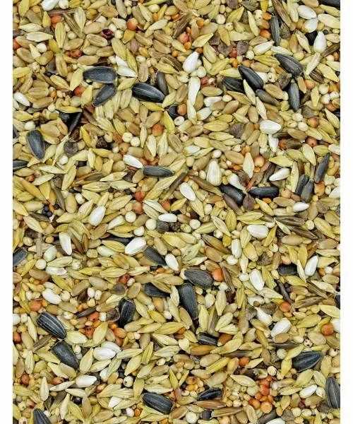 Karma dla dzikich ptaków 1 kg MDM zdjęcie 1