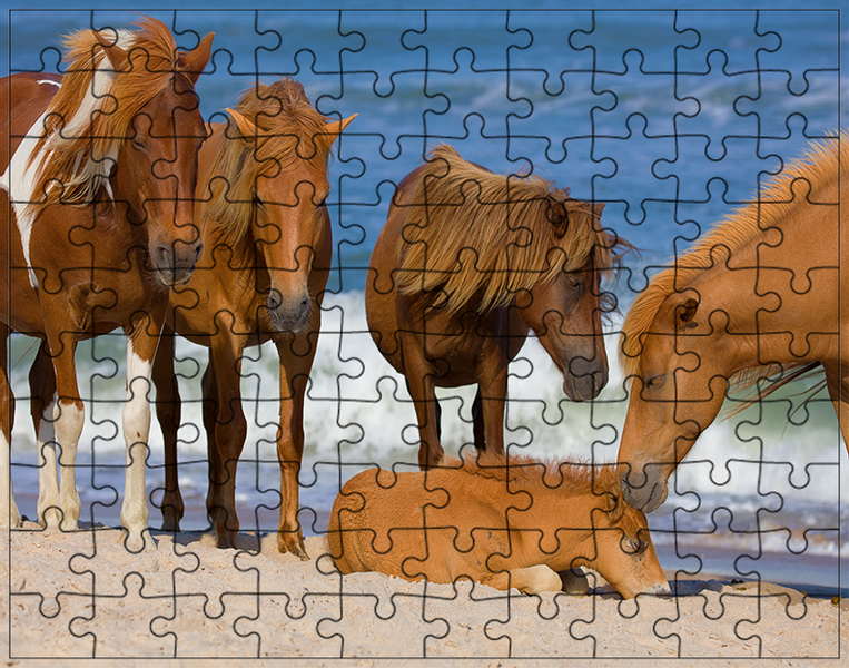Puzzle Konie zdjęcie 1