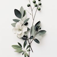 product-compare-59367119