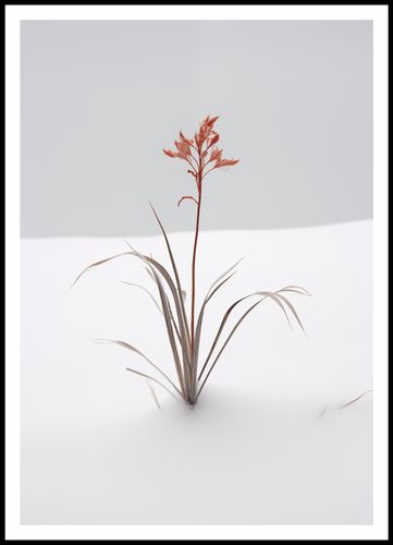 Plakat 70x100cm Subtelność Natury na Arena.pl