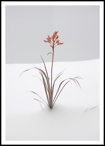 Plakat 70x100cm Subtelność Natury zdjęcie 3