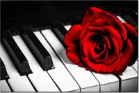 product-compare-58702195