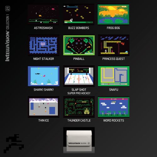 Evercade Bitmap Brothers Kolekcja 1 na Arena.pl