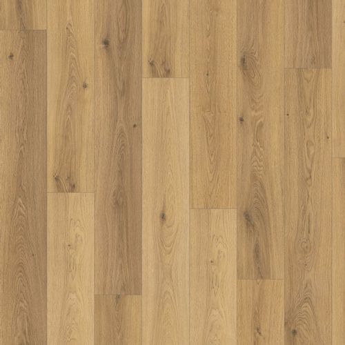 PANEL PANELE PODŁOGOWE LAMINOWANE 33,83m² 8mm na Arena.pl