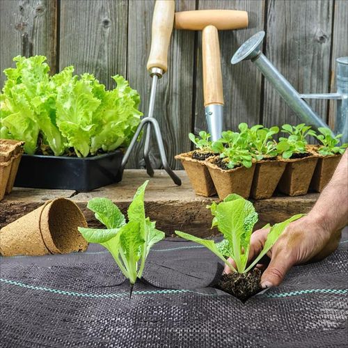 tg77637 agrowłóknina na Arena.pl