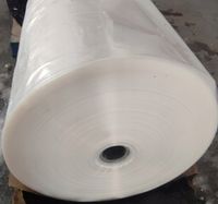 Folia tunelowa ogrodnicza uv10 gardvenvit 8x10