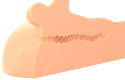 pdx plus perfect ride light - anatomiczny tors męski, ruchomy element na Arena.pl