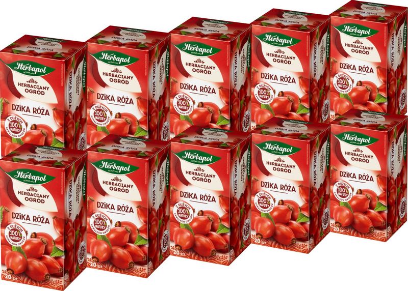 (x10) HERBAPOL Herbata Dzika Róża 20tb zdjęcie 1