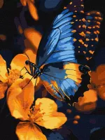 product-compare-61988618