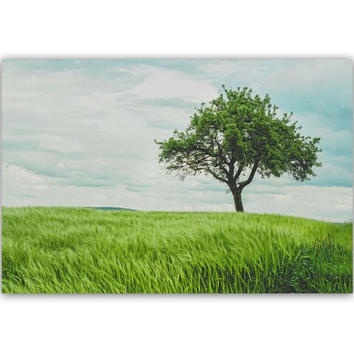 Deco Panel, Drzewo na polu 120x80 na Arena.pl