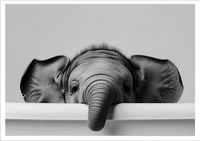 PLAKAT BEZ RAMY do Łazienki WC Toalety śmieszny słoń wanna P2519_50x70