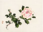 Plakat 100x75cm Pink Rose 2, Kōno Bairei Japoński Vintage do Salonu