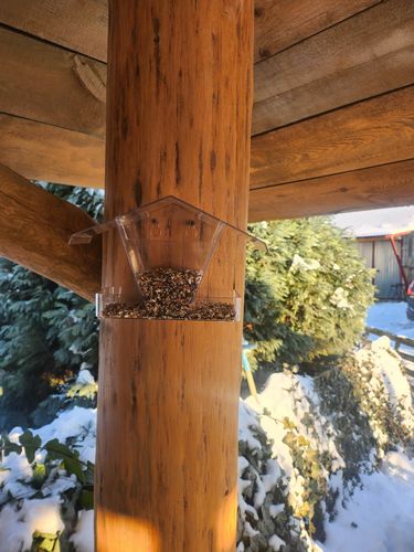 Karmnik dla ptaków na zimę na Arena.pl