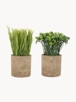 Komplet dekoracyjnych kwiatów Carolyn, 2 elem.