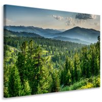 Obraz Do Jadalni KRAJOBRAZ Las Natura Mgła Góry Efekt 3D 100cm x 70cm