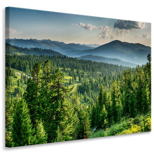 Obraz Do Jadalni KRAJOBRAZ Las Natura Mgła Góry Efekt 3D 100cm x 70cm zdjęcie 1