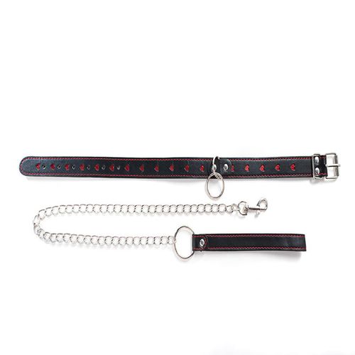 collar with detachable leash na Arena.pl