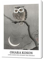 Obraz 70x100cm Design Long-Eared Owl, Koson Vintage do Salonu