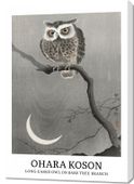 Obraz 70x100cm Design Long-Eared Owl, Koson Vintage do Salonu